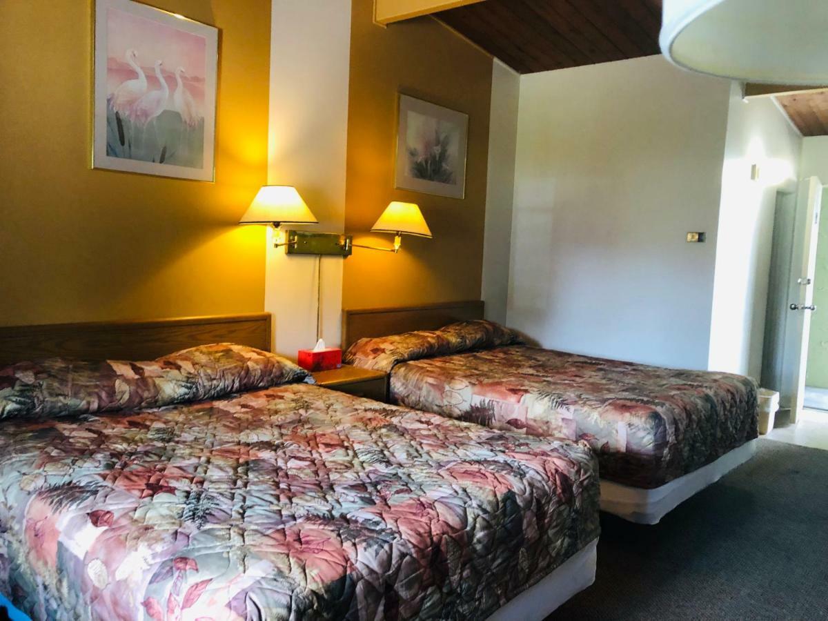 Polson Park Motel Vernon Eksteriør billede